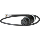 Ambient Recording 5-Pin XLR Female to ARRI ALEXA Mini Stereo Adapter Cable (15.7")