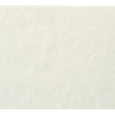 Awagami Factory Bizan Medium White Handmade Paper (Panoramic, 8.3 x 23.4", 5 Sheets)