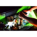 Princeton Tec Amp 1L Mini Flashlight (Black)
