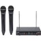 Samson Stage 212 Frequency-Agile Dual-Channel Handheld VHF Wireless System (173 to 198 MHz)