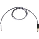 Nebtek ARRI2 2-Pin LEMO Male to 2.1mm DC Barrel Decimator Power Cable (24")