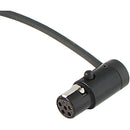 Cable Techniques Low-Profile LPS TA5F to TA5F Two Channel Cable (Black, 24")