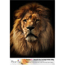 Premier Imaging Smooth Fine Art Bright White Paper (500 gsm, 20 x 24", 25 Sheets)