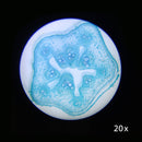Barska AY13116 Student Stereo Microscope (White)