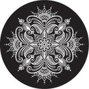 Rosco Paisley 8 B/W Breakup Glass Gobo (A Size)