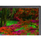 Sharp EA271F-BK 27" 16:9 IPS Monitor