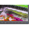 Sharp EA271F-BK 27" 16:9 IPS Monitor