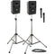 Anchor Audio LIB-DP2-HH Liberty Deluxe Package 2 Portable Bluetooth PA System with Two Handheld Wireless Microphone Transmitters, Unpowered Companion Speaker, and Speaker Stands (1.9 GHz)