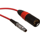 Ambient Recording 5-Pin Lemo (FGG-05 B) to 3-Pin XLR Male Timecode Cable for Clockit Series
