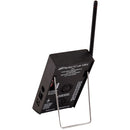 Dsan PerfectCue Mini with 4-Button Transmitter and Green Laser Pointer