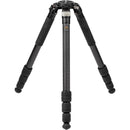 Robus RC-8860 Vantage Series 5 Carbon Fiber Tripod with Triple Action Ball Head Kit