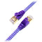 Tera Grand Cat 7 Ultra Flat Braided Ethernet Patch Cable (10Gb, 50', Purple & Blue)