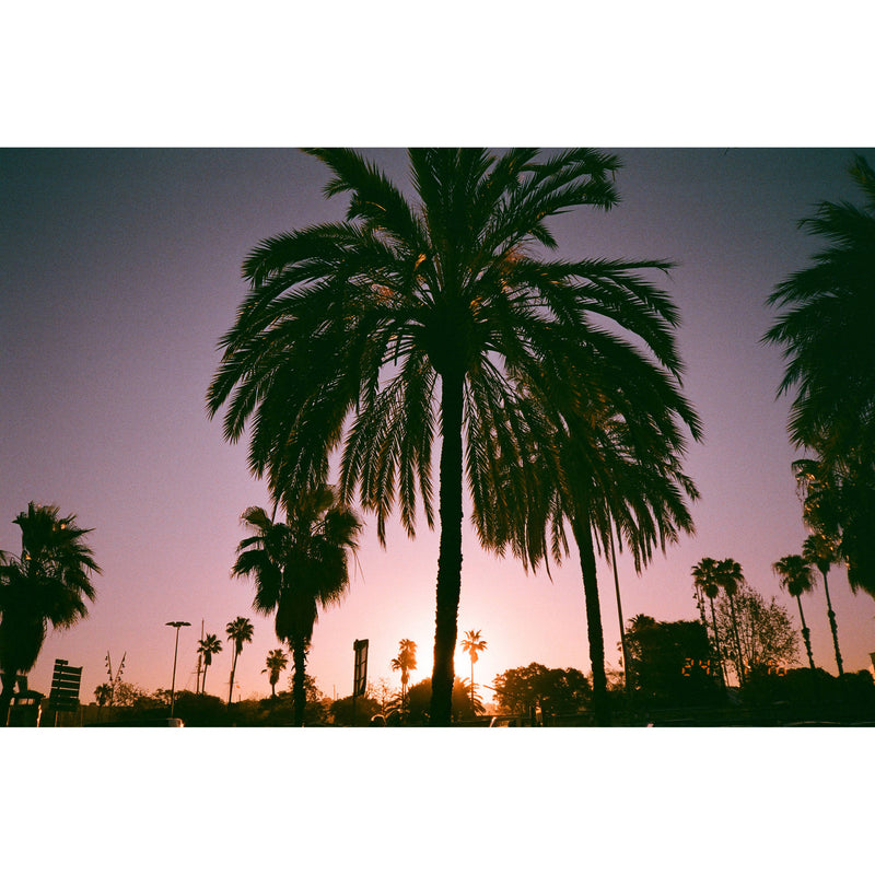 dubblefilm Bubblegum 200 Color Negative Film (35mm Roll Film, 36 Exposures)