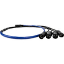 SoundTools SuperCAT Sound Tails Male EtherCON to Four Male XLR Breakout Cable (52")