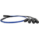SoundTools SuperCAT Sound Tails Male EtherCON to Four Female XLR Breakout Cable (52")