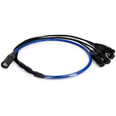 SoundTools SuperCAT Sound Tails Male EtherCON to Four Female XLR Breakout Cable (52")