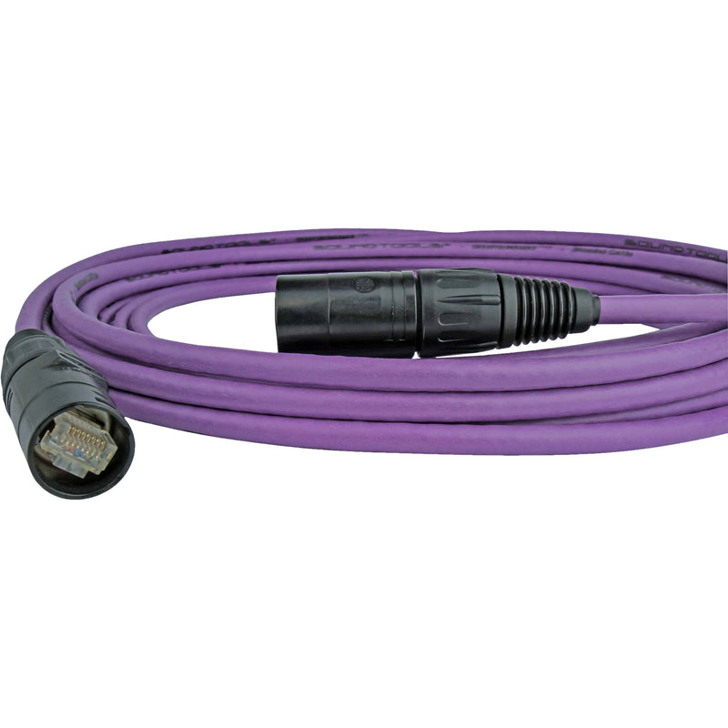 SoundTools SuperCAT Shielded CAT5e EtherCON Cable (Purple, 100')