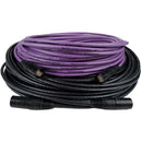 SoundTools SuperCAT Shielded CAT5e EtherCON Cable (Purple, 100')