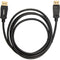 Rocstor DisplayPort 1.2 Cable with Latches (6')
