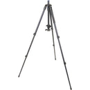 SLIK Pro AL-323BH4 Tripod with SBH-400 Triple Action Ball Head (Matte Black)