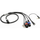 Remote Audio ENG BREAKAWAY CAMERA END WITH TIMECODE