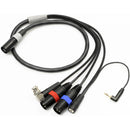Remote Audio ENG BREAKAWAY CAMERA END WITH TIMECODE