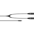 Sennheiser CA 6042 XLR Audio Output Y-Cable for EK 6042 Receiver