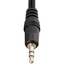 Pearstone Standard VGA Male to VGA Male Cable with 3.5mm Stereo Audio (6')