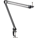 Heil Sound PR 30 Dynamic Supercardioid Microphone Kit with Shockmount and Boom Arm (Champagne)