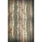 Click Props Backdrops Wood Shack Backdrop (5 x 8')