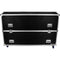 Odyssey 75" Flat-Screen Monitor Case with Casters