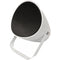 Speco Technologies 5" 70V Projection Speaker
