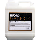Ilford Galerie Canvas Protect GCVP (Satin, 4L)