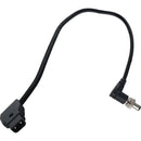 Quasar Science Rainbow Linear LED Extension Cable, DC 2.1mm Male Right-Angle Connector to P-Tap Cable (1')