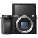 Sony a6100 Mirrorless Camera with 18-135mm f/3.5-5.6 Lens