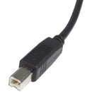 StarTech USB-A to USB-B 2.0 Male Cable (10')