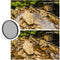 K&F Concept Classic Series Slim Multicoated Circular Polarizer Filter (67mm)