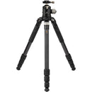 Robus RC-8860 Vantage Series 5 Carbon Fiber Tripod with Triple Action Ball Head Kit