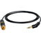Laird Digital Cinema Belden 179DT DSLR 3.5mm Right/Angle TRS Male to RCA Male 75 Ohm Video Interface Cable (6')