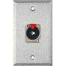 TecNec 1-Gang Wall Plate with Latching 1/4" TRS Connector (Gray Lexan)