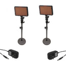 Bescor WAFFLE 2-Light Kit with Tabletop Stands