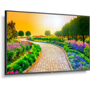 Sharp MultiSync M431 43" Class HDR 4K UHD Commercial IPS LED Display