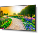 Sharp MultiSync M431 43" Class HDR 4K UHD Commercial IPS LED Display