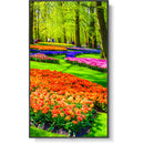 Sharp MultiSync M431 43" Class HDR 4K UHD Commercial IPS LED Display