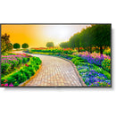 Sharp MultiSync M431 43" Class HDR 4K UHD Commercial IPS LED Display