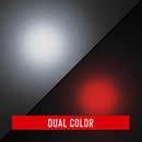 COAST PX20 Bull's-Eye Spot Beam White/Red LED Flashlight (Sporting Goods Clamshell Packaging)