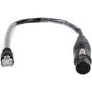 Lex Products DMX5PF-RJ45E DMX 5-Pin Female XLR to etherCON Adapter (1')