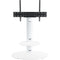 AVF Group Lugano Oval Pedestal TV Stand (Satin White with White Glass)