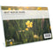 MCS Bent Acrylic Horizontal Photo Frame (4 x 4")