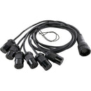 Lex Products EverGrip Break-Out Male LSC19 to Female L6-20 Cable (6')